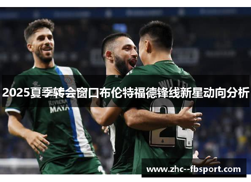 2025夏季转会窗口布伦特福德锋线新星动向分析